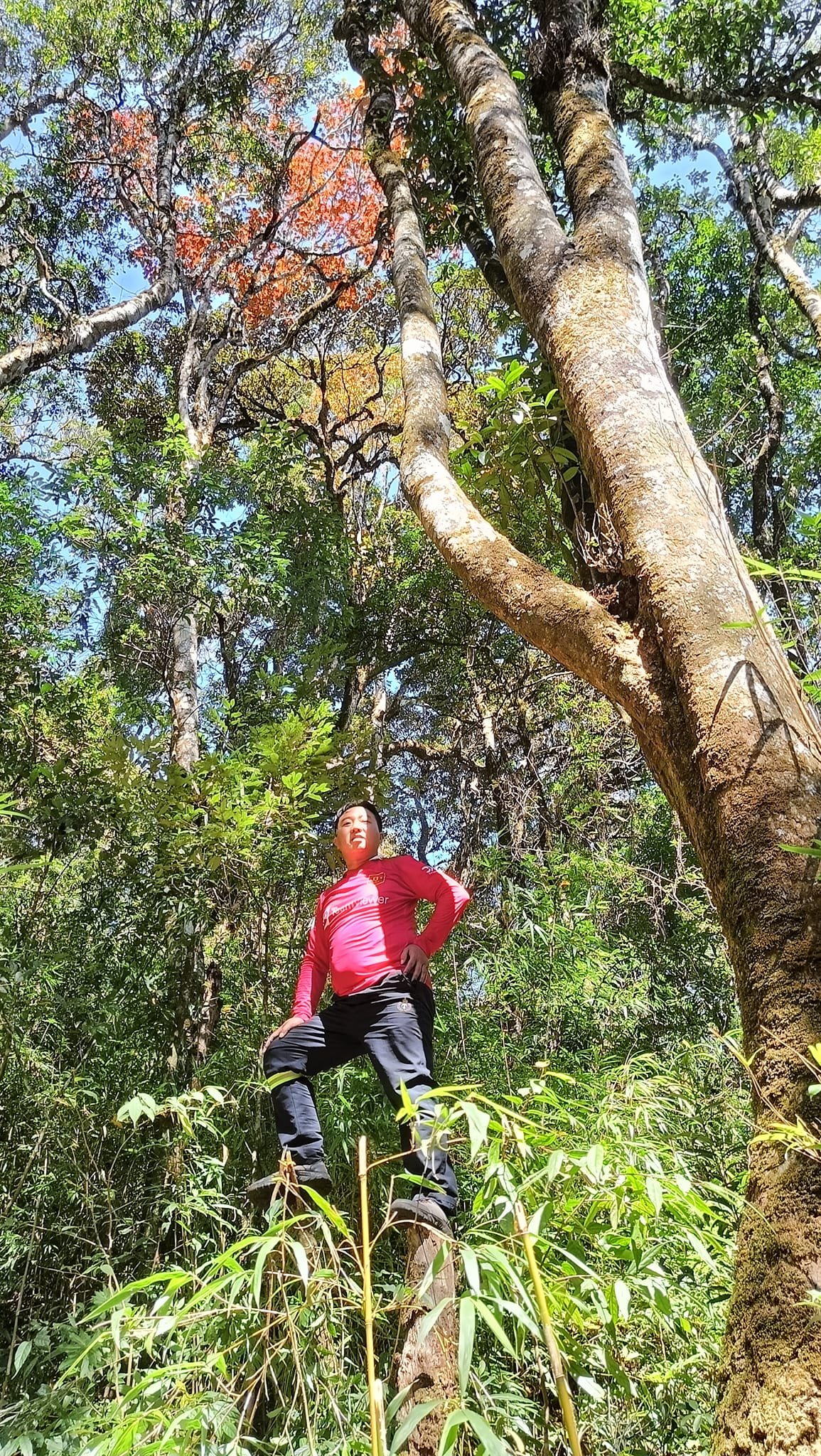 Hiking Northeast Vietnam Tour 7 Days